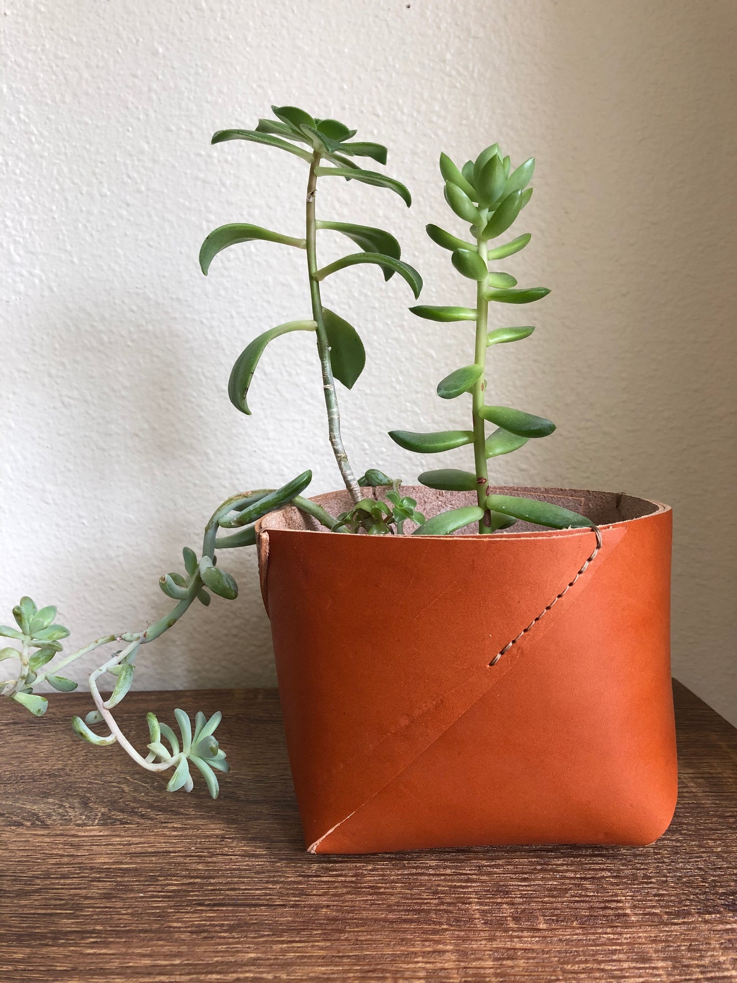 Leather Planter | Leather Storage Container | Small Leather Box | Leather Home Gift