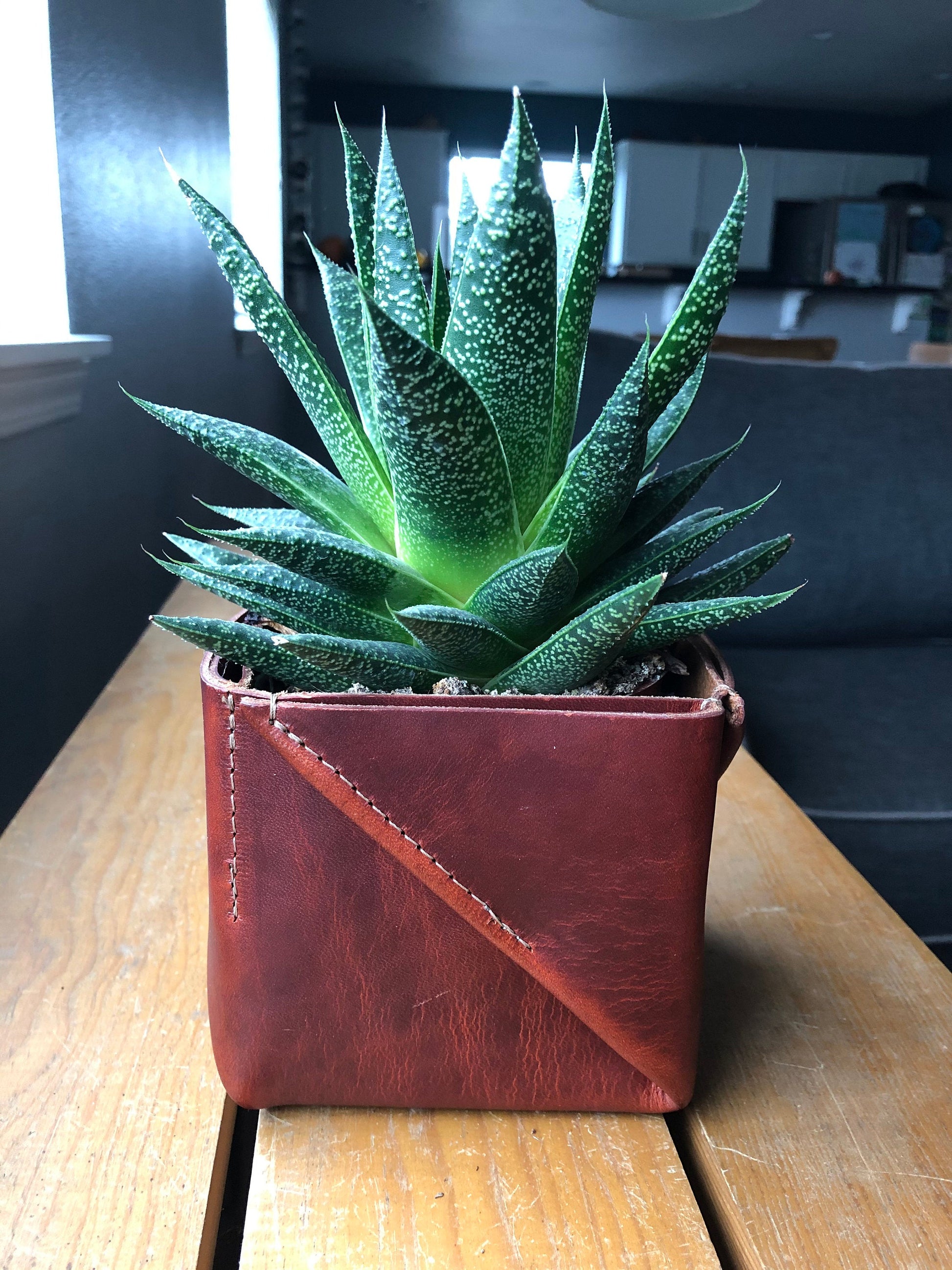 Folded leather planter holds plant in modern home scene
