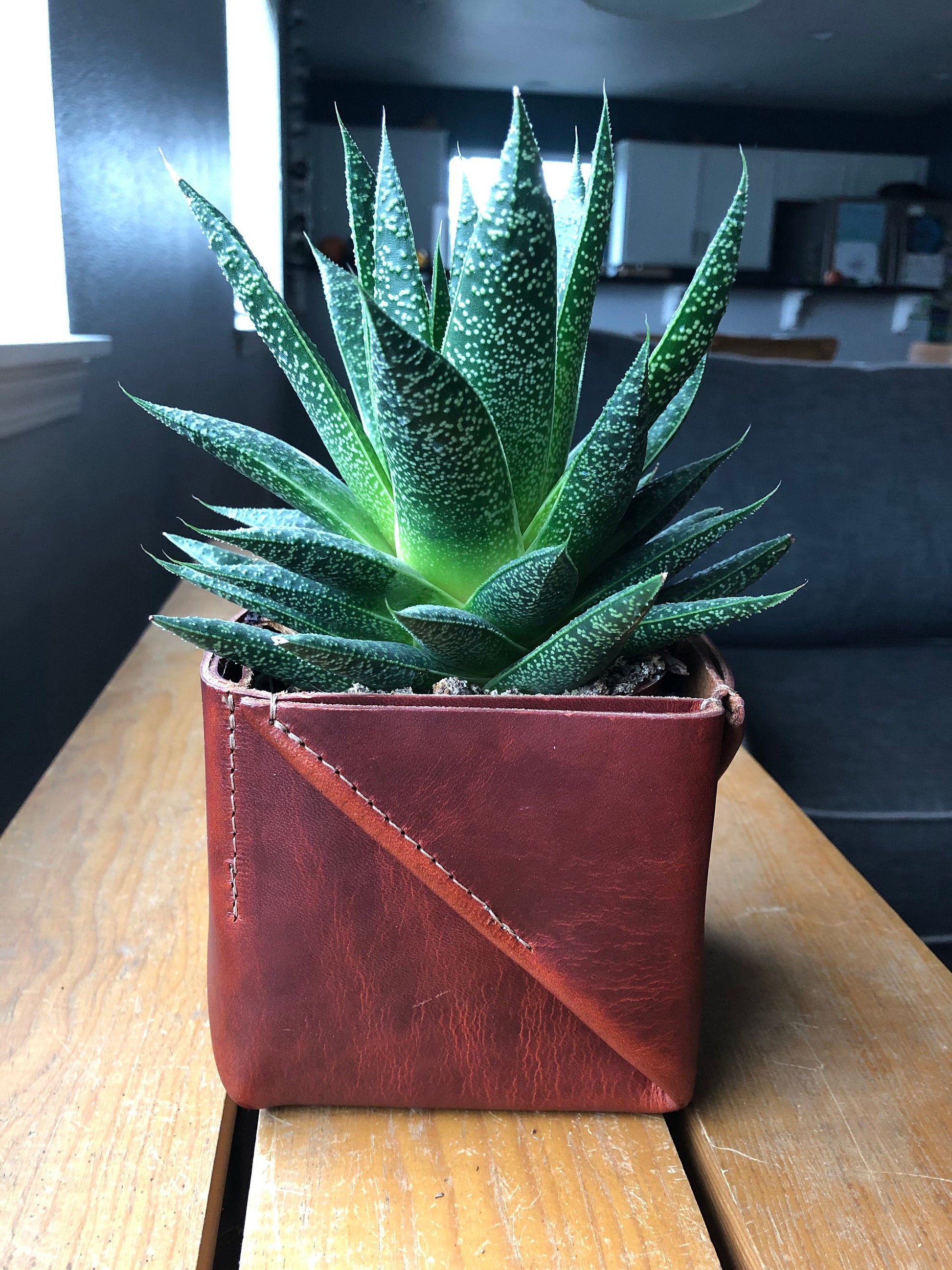 leather plant pot holder Leather Planter Pot | Remote Control Holder | Leather Box